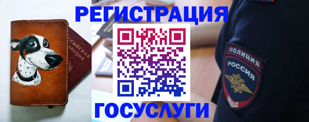 временная регистрация в квартире в Кудрово